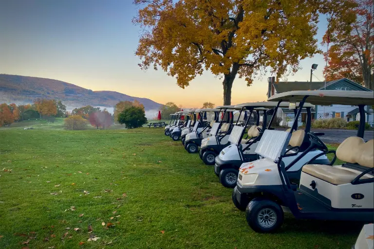 golf carts lined up in soft morning light